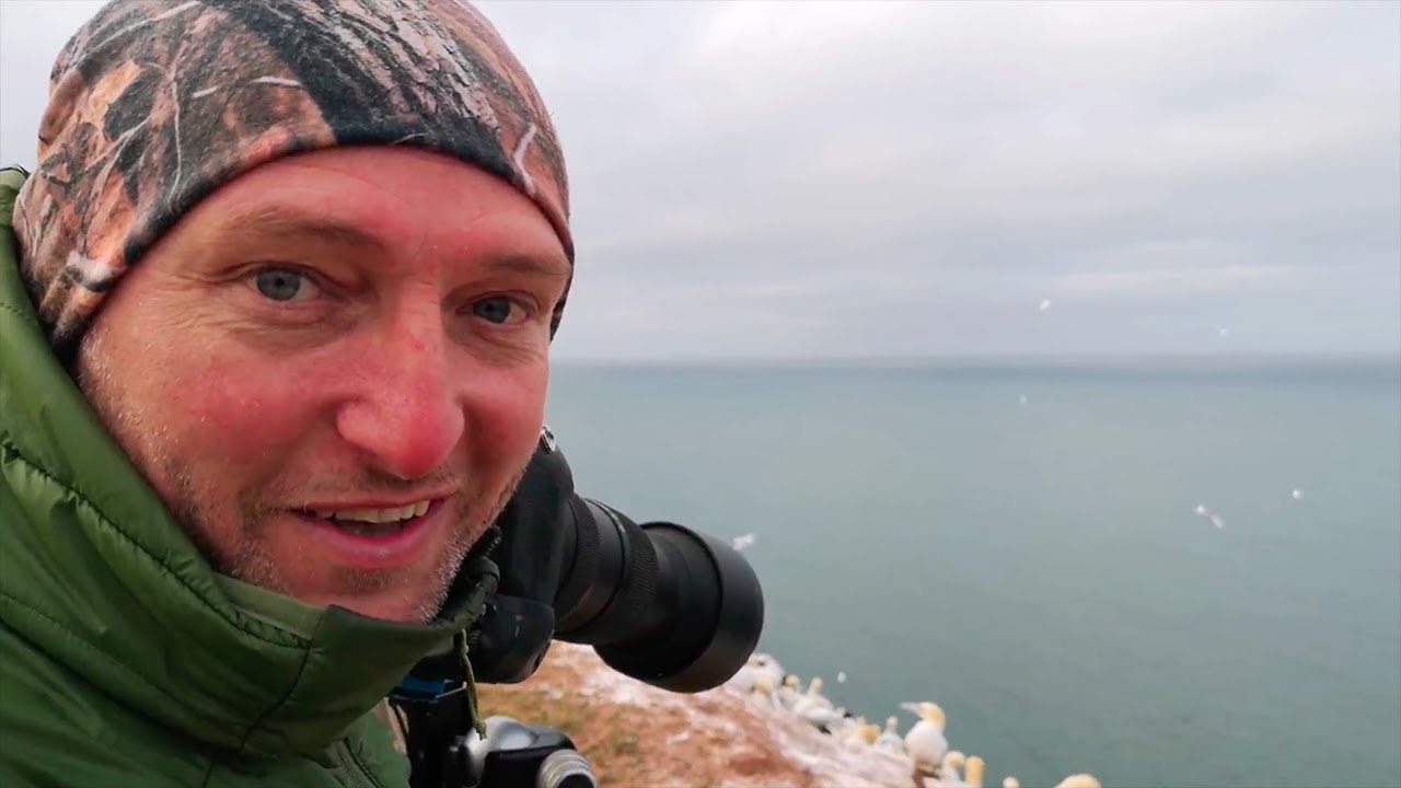 Workshop vogelfotografie op Helgoland