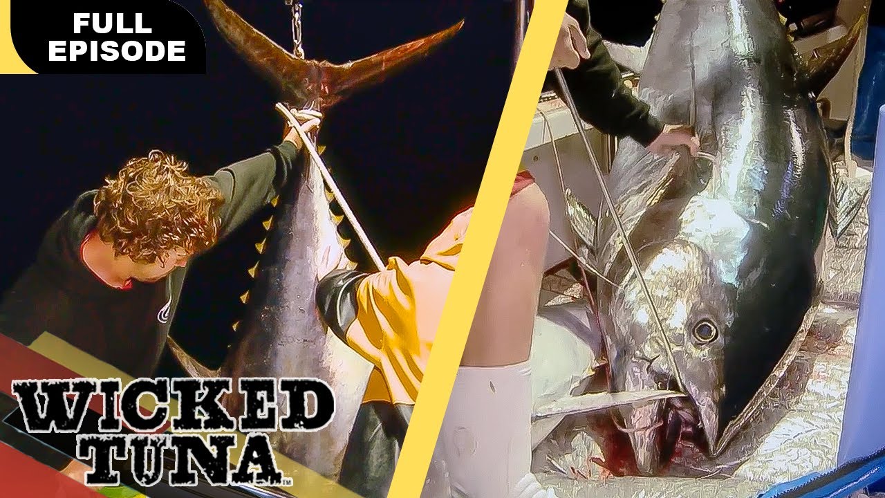 Всё или ничего, детка! (Полная серия) | S2E13 | Wicked Tuna