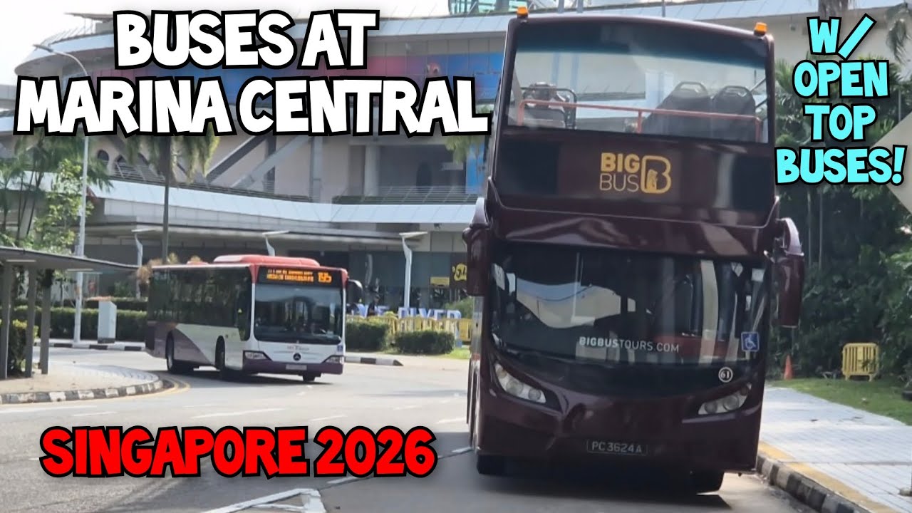 Buses At Marina Central, Singapore 2026