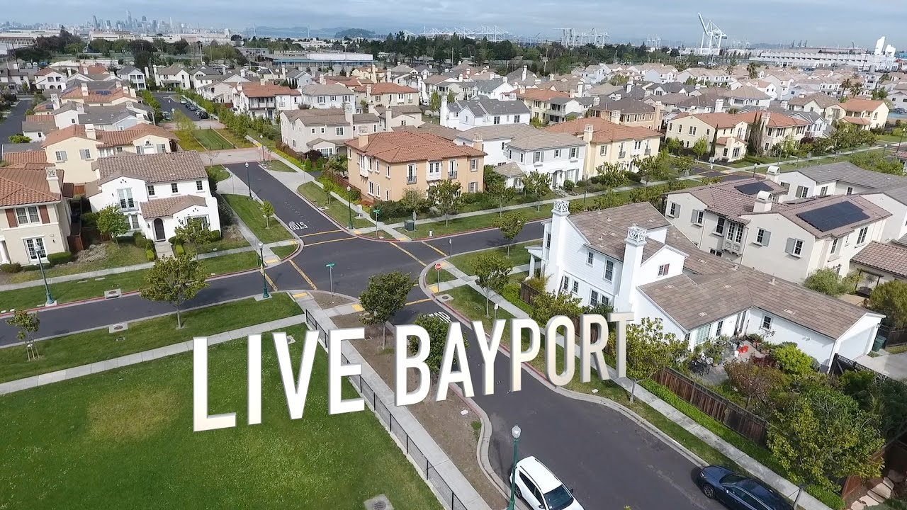 Live Bayport