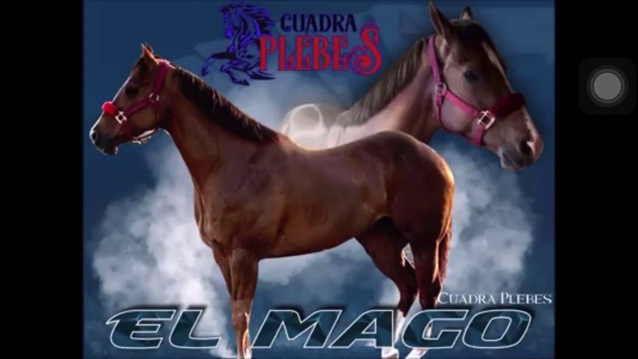 El Mago - Cuadra Plebes - El Chuny Gonzalez
