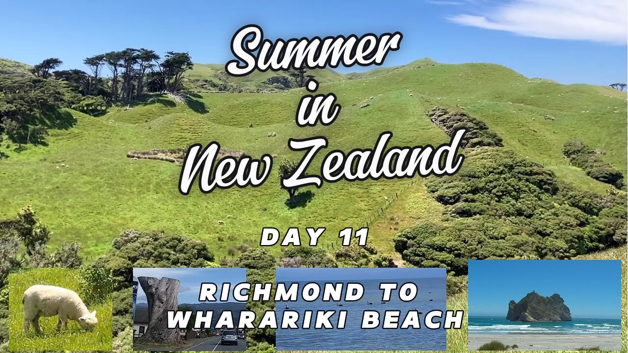 2024NZDay11 Richmond to Wharariki Beach | 