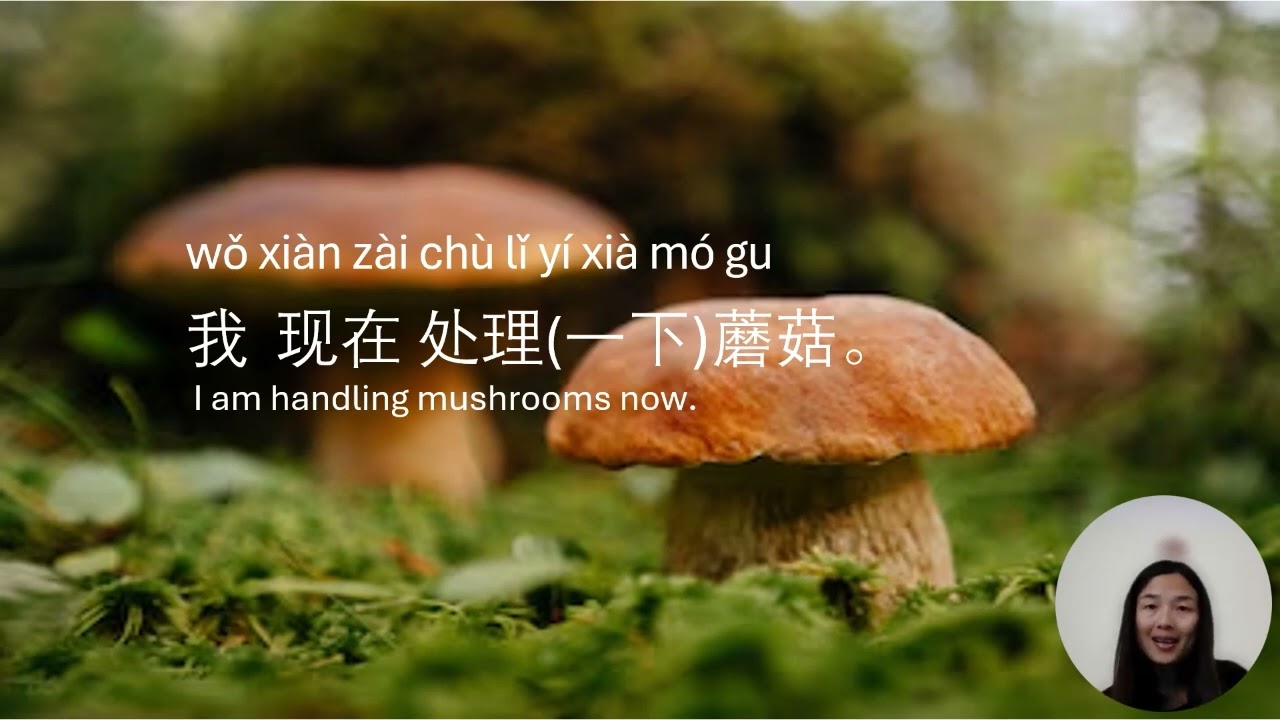 蘑菇 Mushrooms | Learn Mandarin Chinese with Hu Laoshi