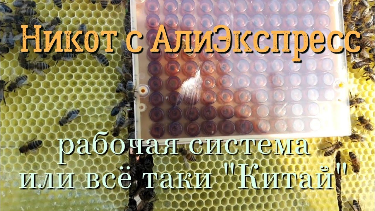 Китайский Никот. Опыт использования.