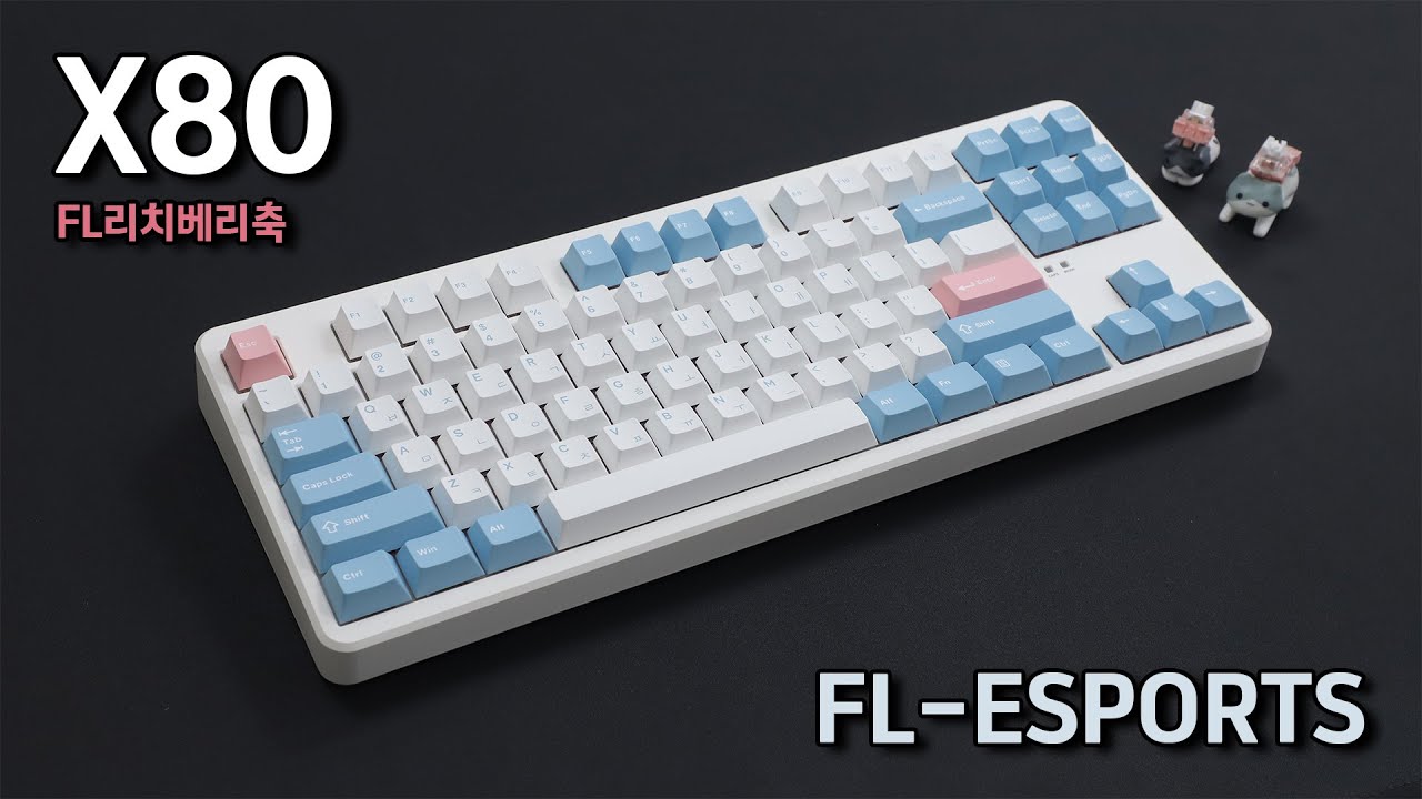 가성비? 갓성비!? FL-ESPORTS X80 완제품 (FL리치베리축)