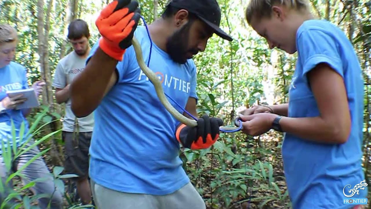 Madagascar Wildlife Conservation: Take part in exciting surveys