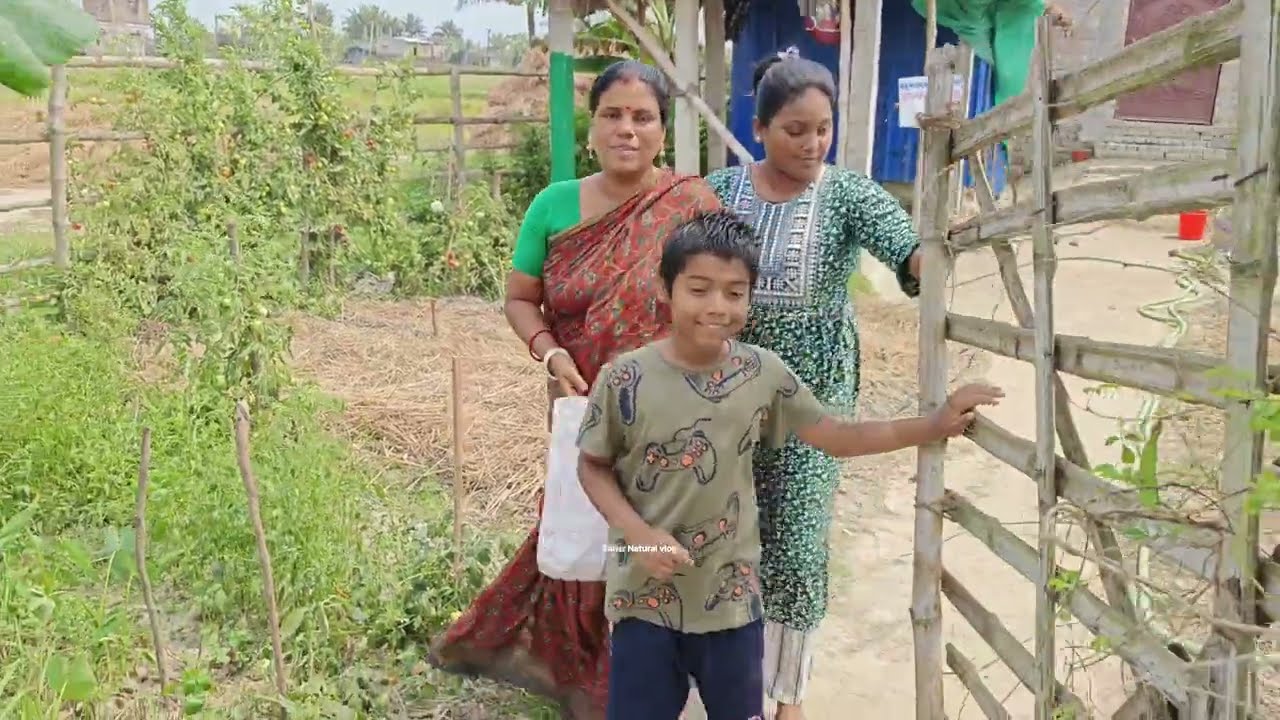 সবাই মিলে নুতন মাঠে গেলাম -বাড়ির সব কাজ সেরে ,মাঠে গেলাম শাক তুলতে । কি শাক তুললাম -