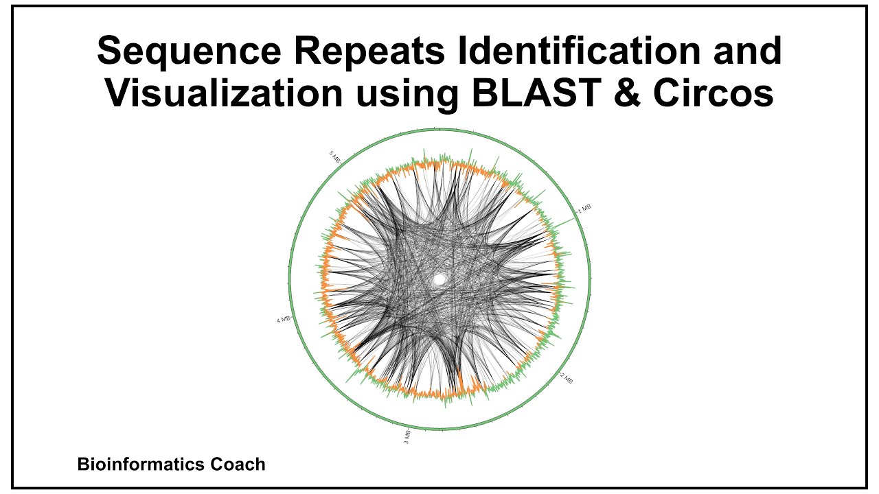 Sequence Repeat Identification and Visualization using BLAST and Circos for Bioinformatics