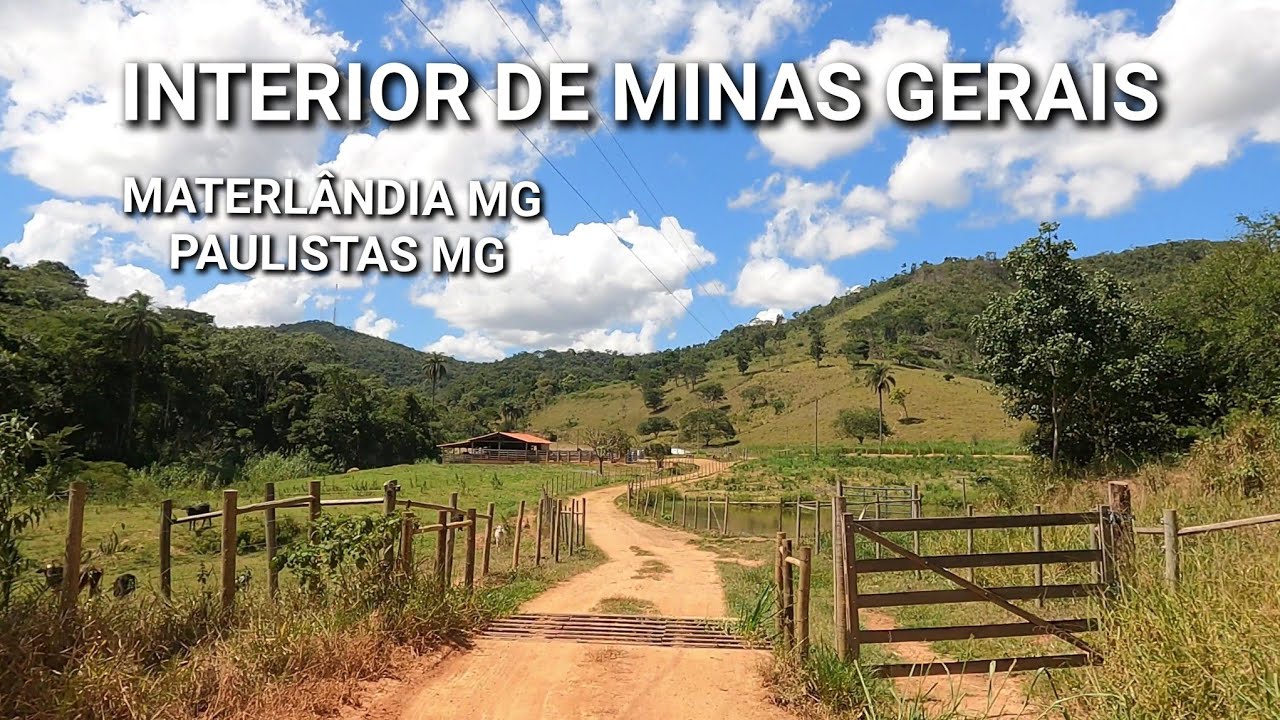 INTERIOR DE MINAS GERAIS | PINHEIROS , PASSEIO PELA  ZONA RURAL DE MATERLÂNDIA MG  E PAULISTAS MG