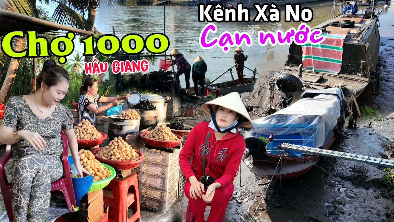 Về Hậu Giang đi Chợ 1000 - Hạn hán Kênh Xà No sắp 