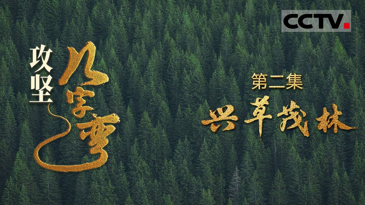 《攻坚几字弯》02 兴草茂林：两行树护住60亿斤粮 黄土高原村庄逆袭成陕北江南【CCTV纪录】