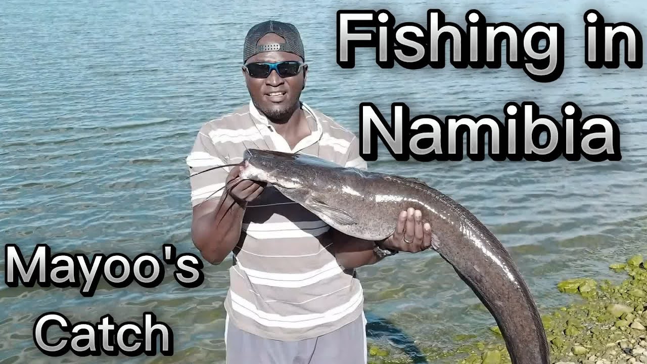 Fishing in Namibia - Mayoo's Catch Introduction