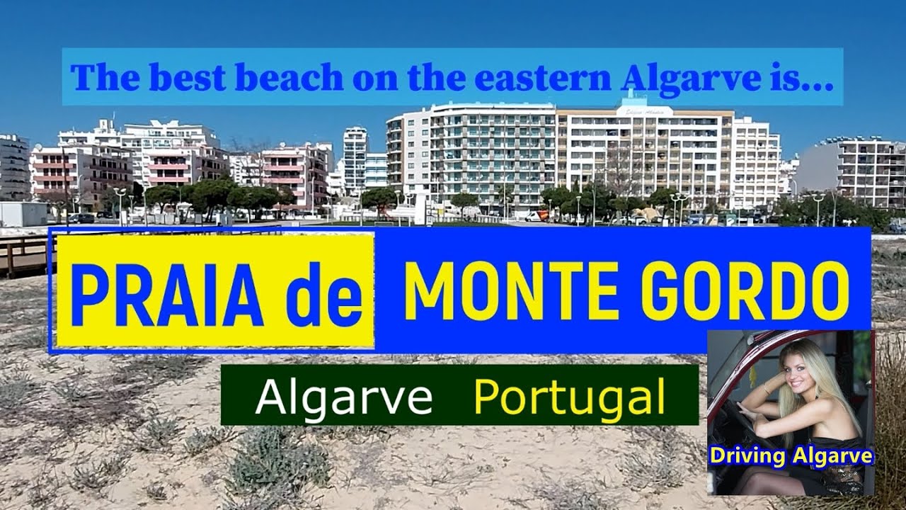 Praia de MONTE GORDO (Algarve Portugal) the mystery of the baby seagulls with one leg only 3/2022 HD