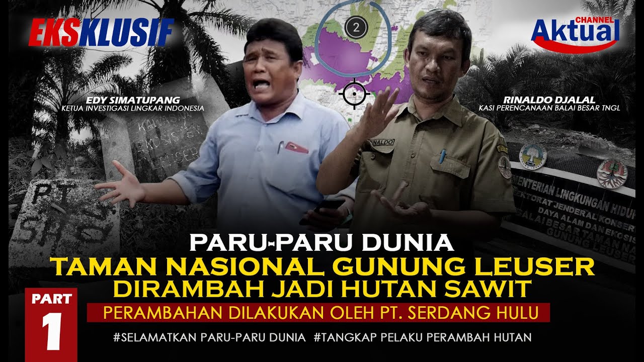 TAMAN GUNUNG LEUSER DIRAMBAH JADI HUTAN SAWIT