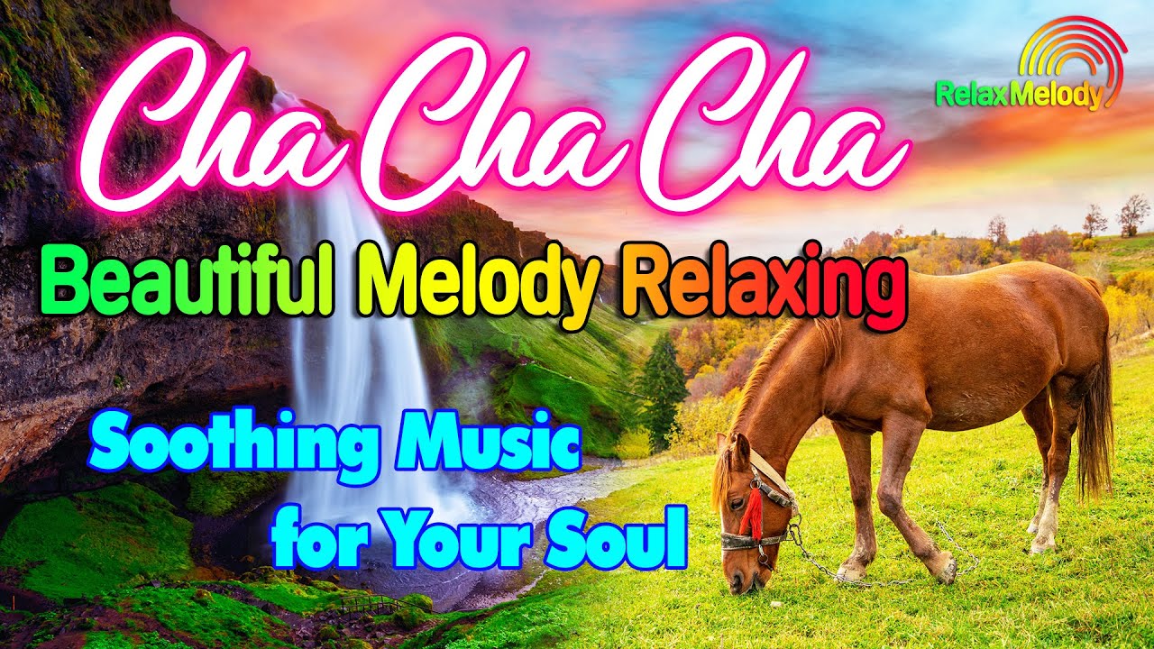 New Relaxing Music Beautifies the Soul, Beautiful Cha Cha Cha Melody Instrumental