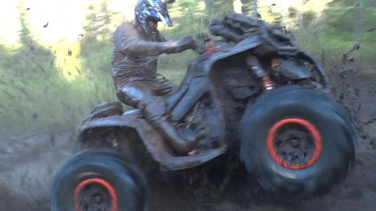 100% Ostacruiser!!