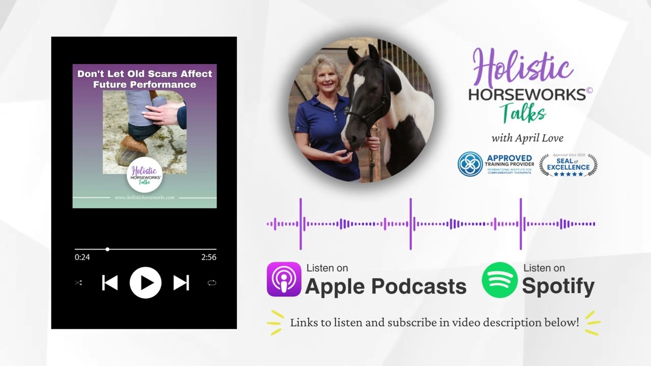 Old Scars On Your Horse Can Impede Performance And Mobility | Holistic Horseworks Talks