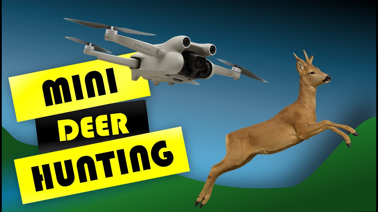 Drone Hunter’s Autumn Trail – Tracking Crows, Circling Trees & A Wild Deer Encounter