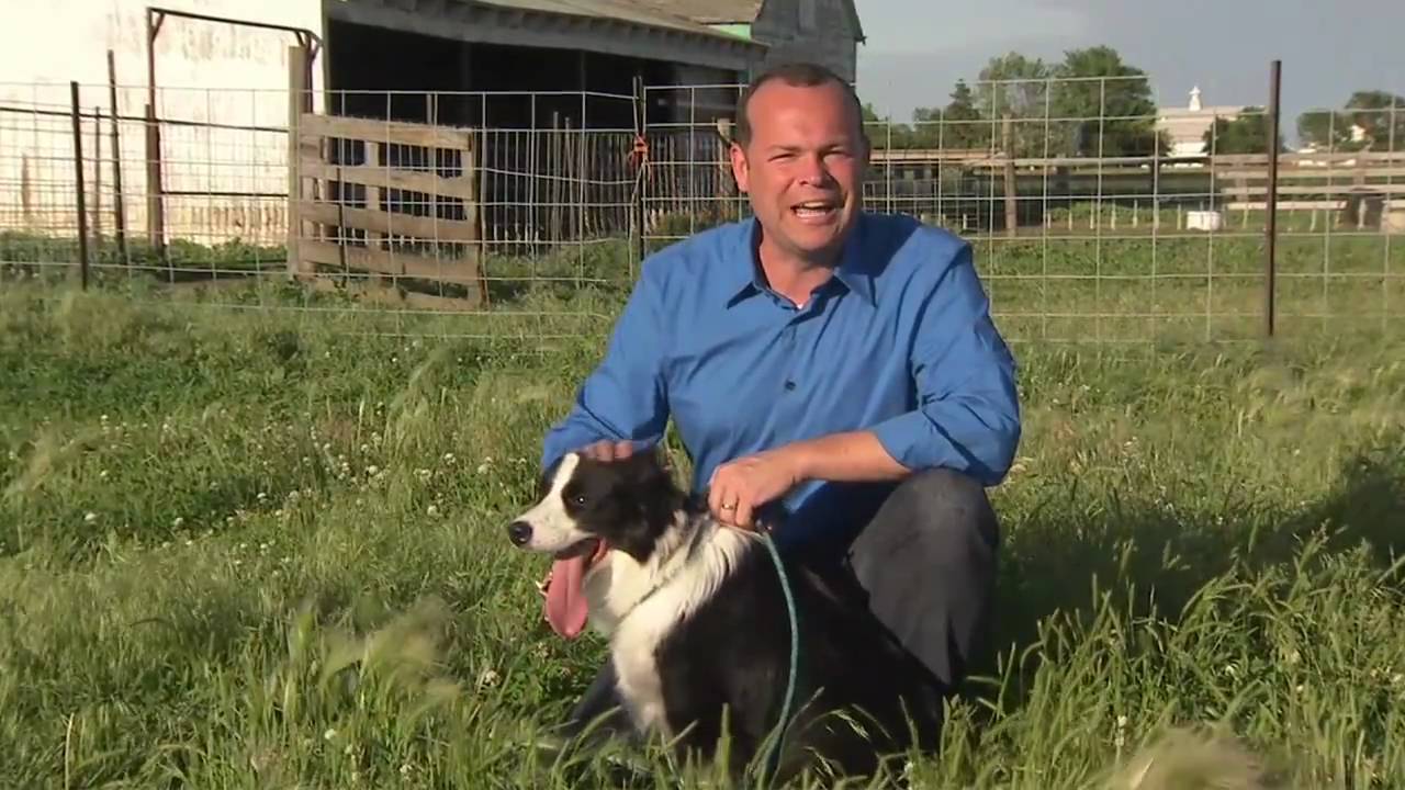 Nebraska Working Dog Ranch