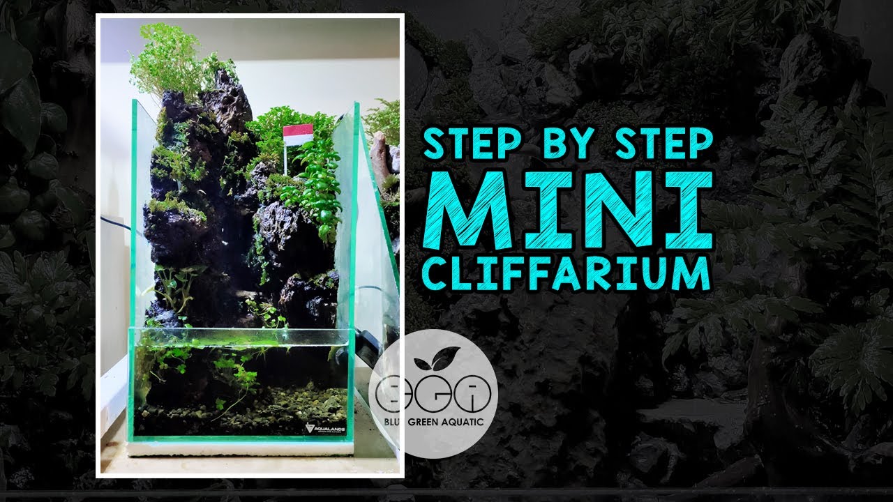 #14 - SET UP MINI PALUDARIUM tema TEBING 20 cm