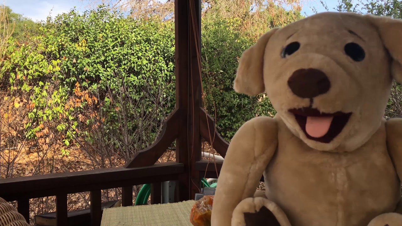 Ted E Bare's Diet Week 2