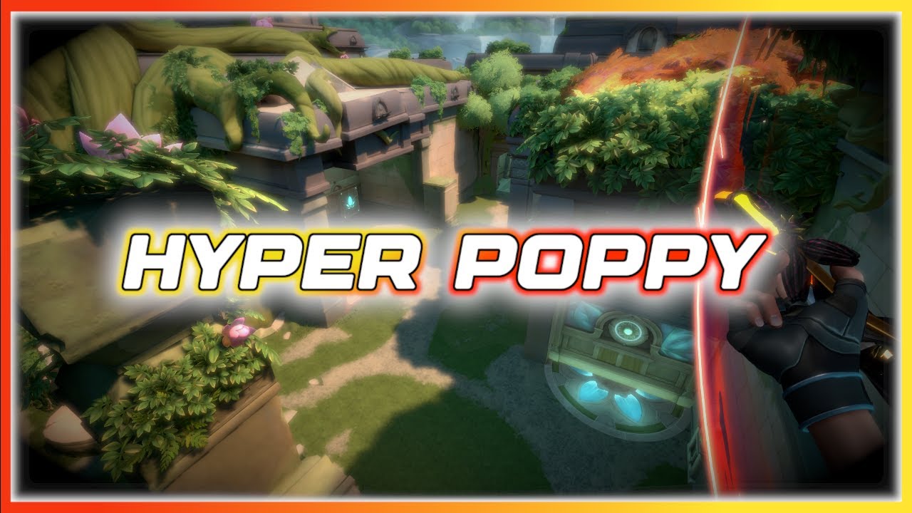 Hyper Poppy