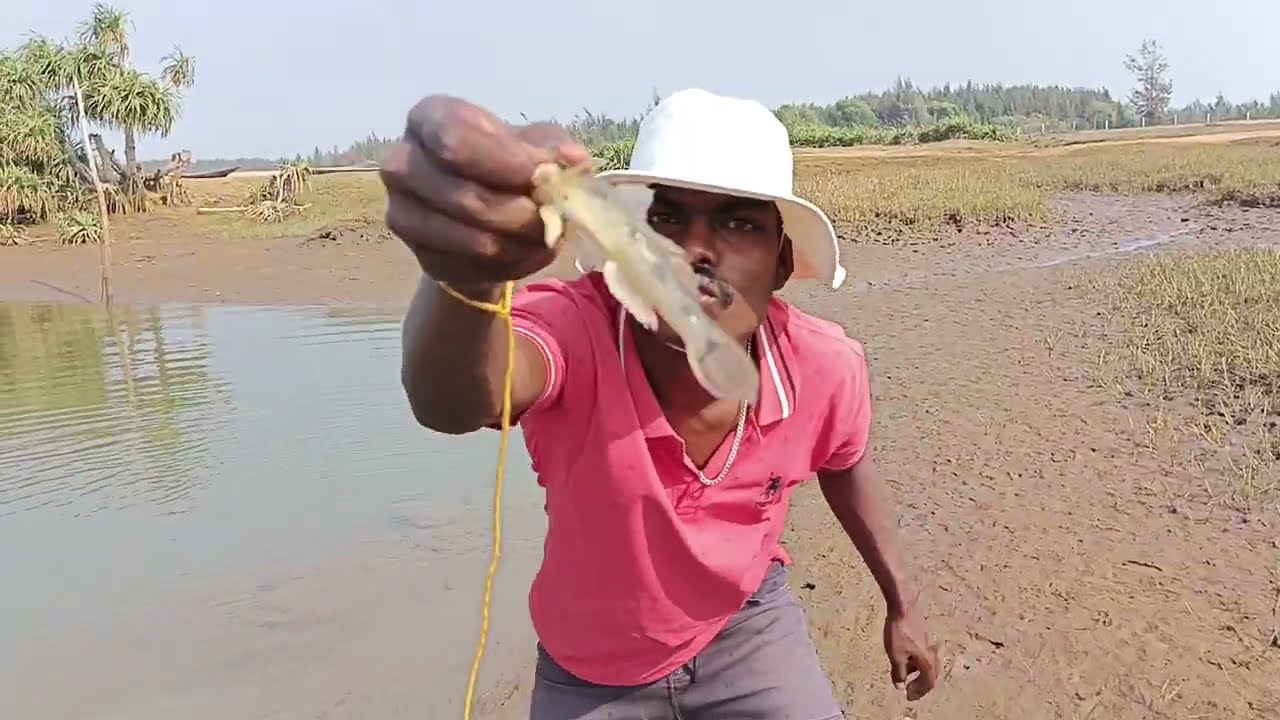 Best Net Woow Fishing - Traditional Hand 🐟 | 90k Smart Boy Catching Cast Net Woow fishing amazingly