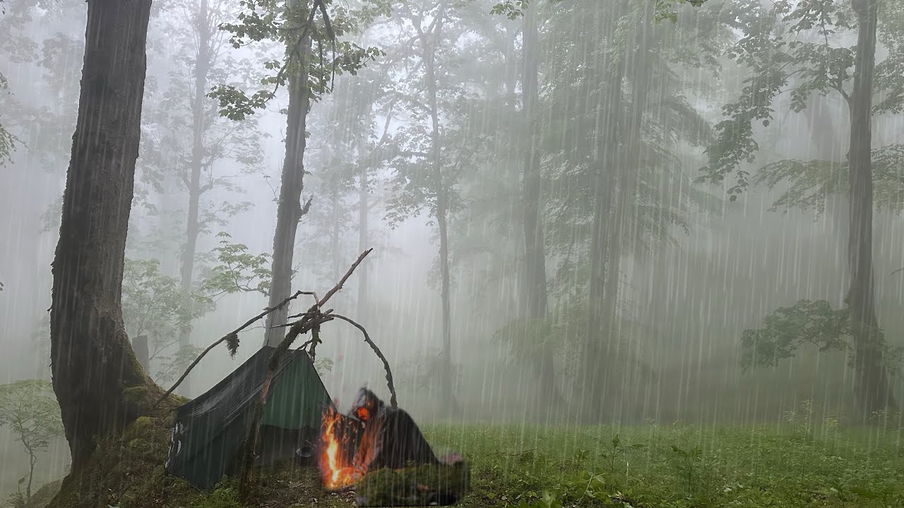 Two days heavy rain camping ⛺️ relaxing rain sounds in the foggy forest