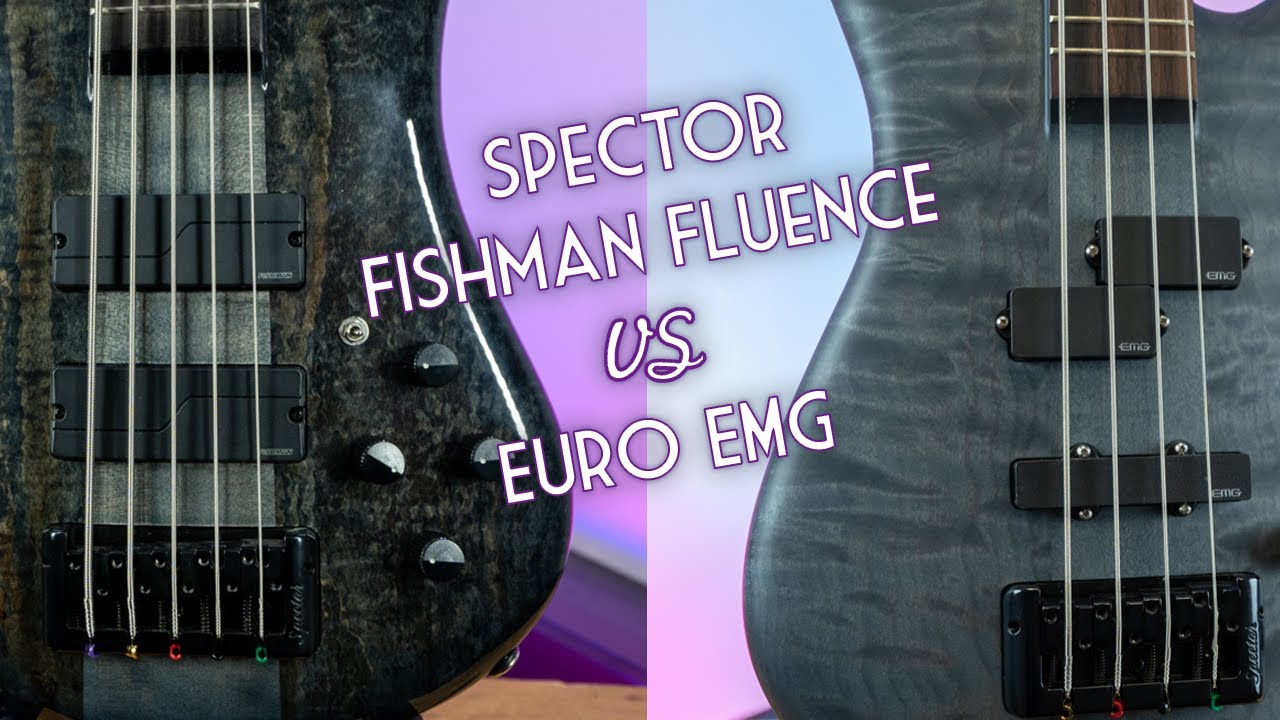 Spector Euro Fishman Fluence против Spector EMG — сравнение звукоснимателей для бас-гитар