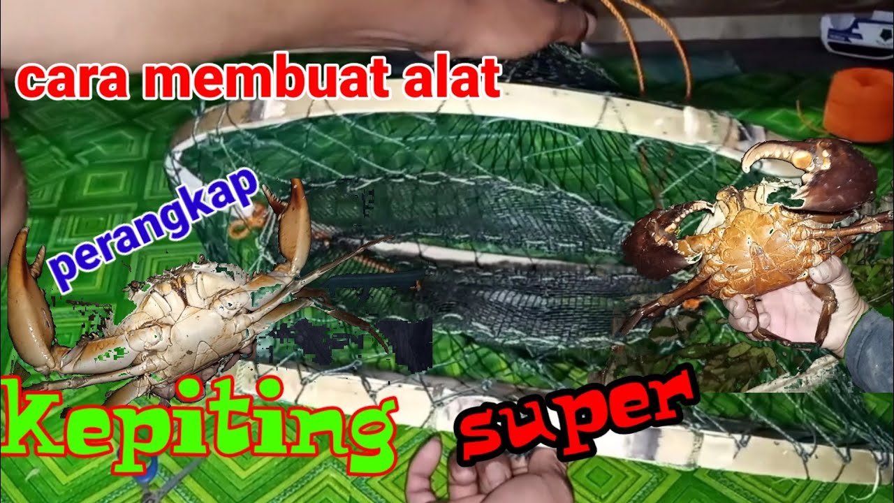 cara membuat alat perangkap kepiting bakau