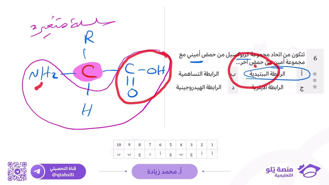 25- الكيمياء الحيوية ( تحصيلي يلو تجميعات كيمياء 2025 )