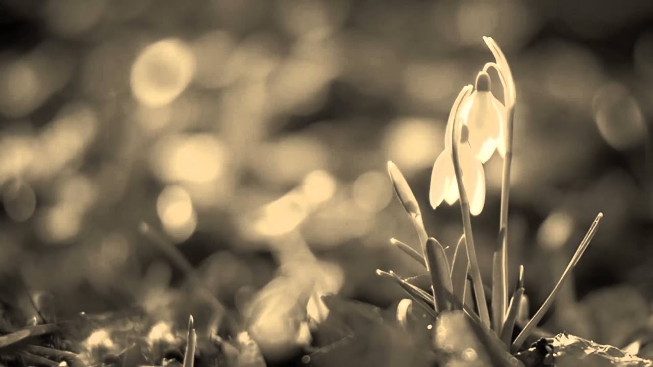 Sting feat. Jo Lawry  -  
