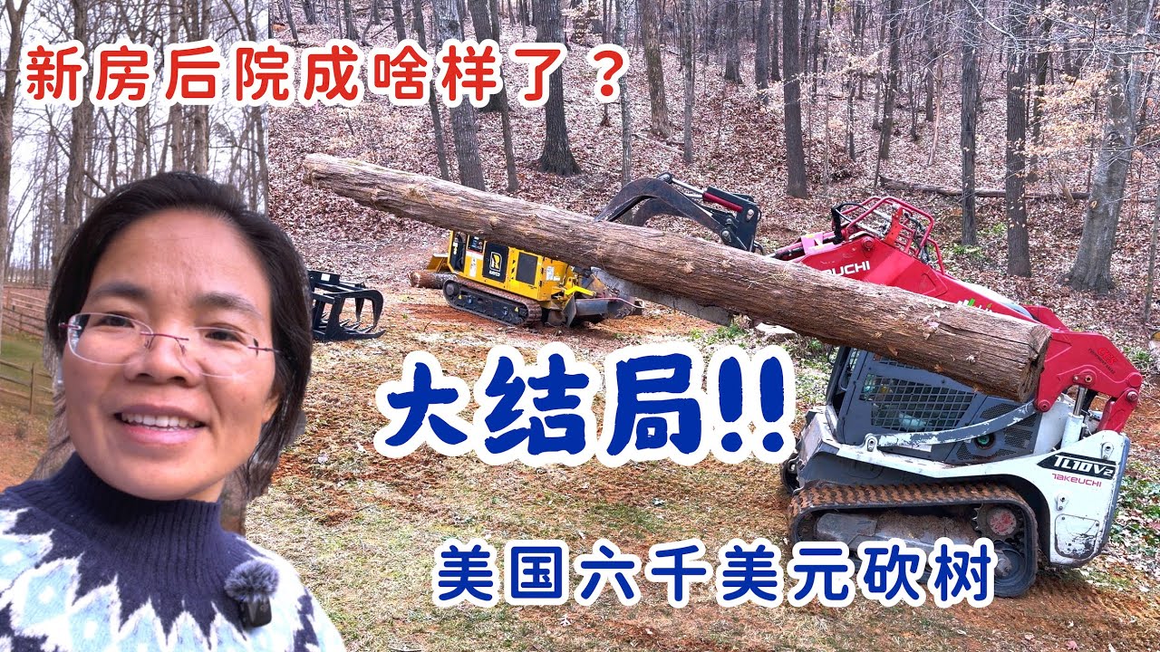大结局！！美国新房6000美元砍树，后院变成什么样了？？！
