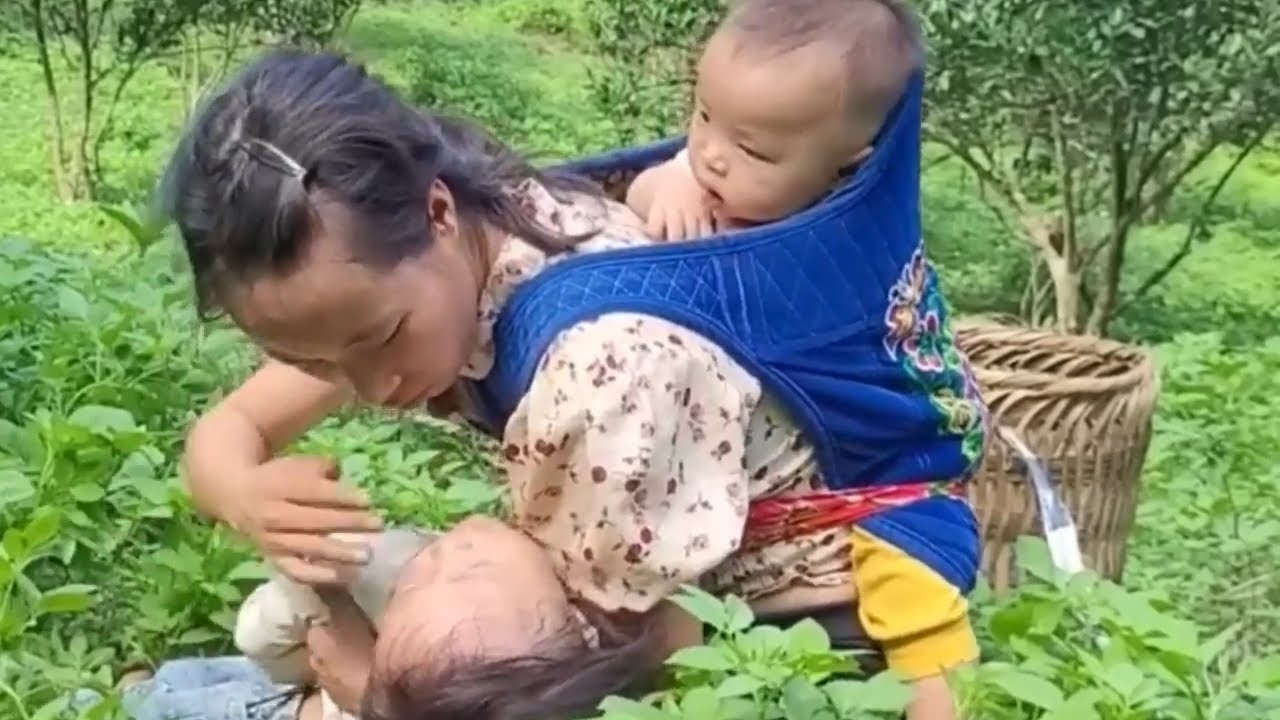 Mother and Daughter Go Snail Picking After Jackfruit Harvest | Emotional Village Story