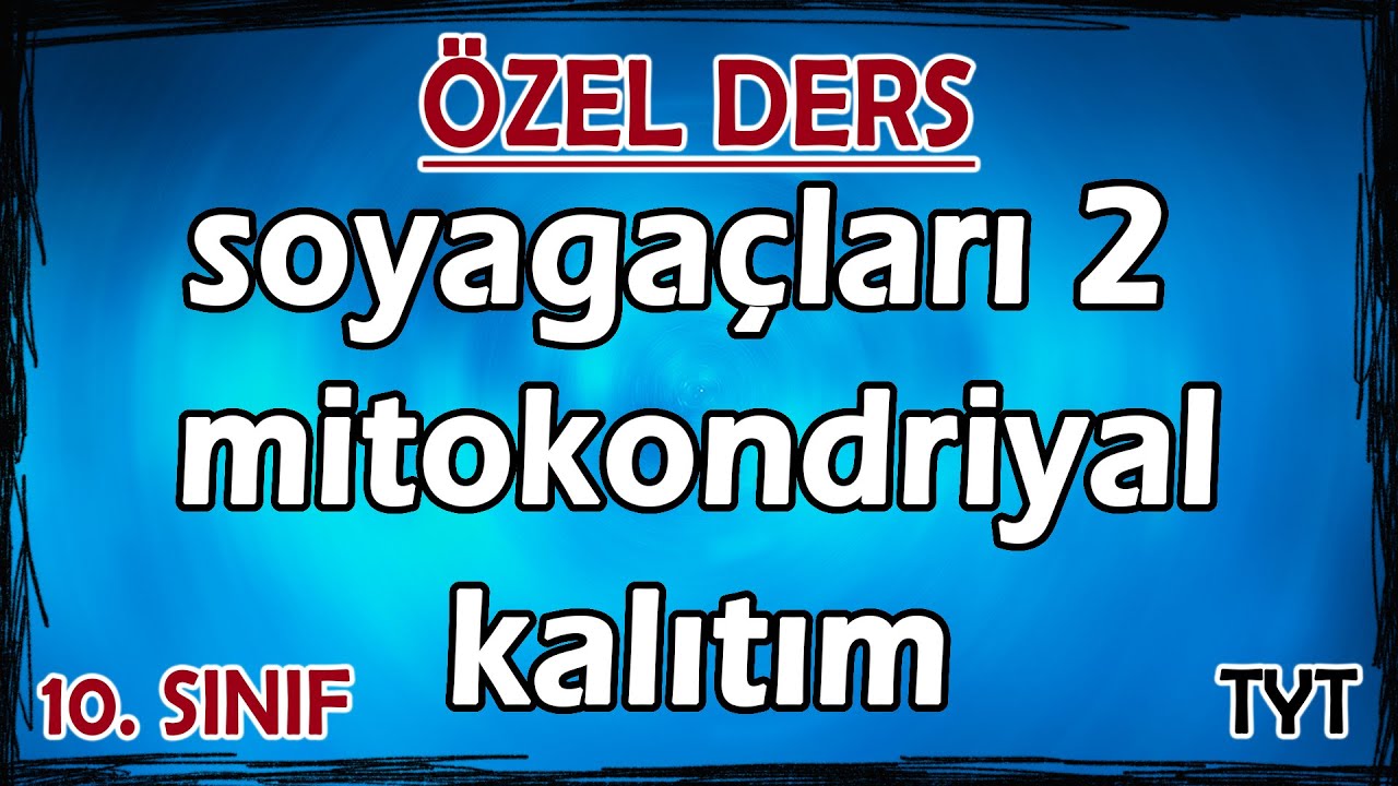15) Kalıtım Soyağaçları 2 - Mitokondriyal Kalıtım - Özel Ders (10. Sınıf)