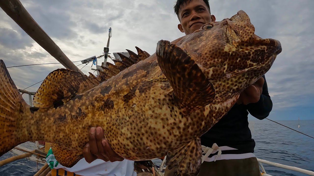 3 days Kitang D’Lubid nahuli namin ang delikadong isda at malaking Marbled Grouper | Catch and Sell