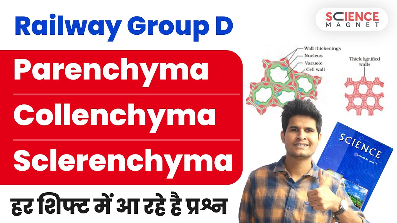 Railway Group D 🤩 Parenchyma, Collenchyma & Sclerenchyma | हर Shift में आ रहे प्रश्न #neerajsir
