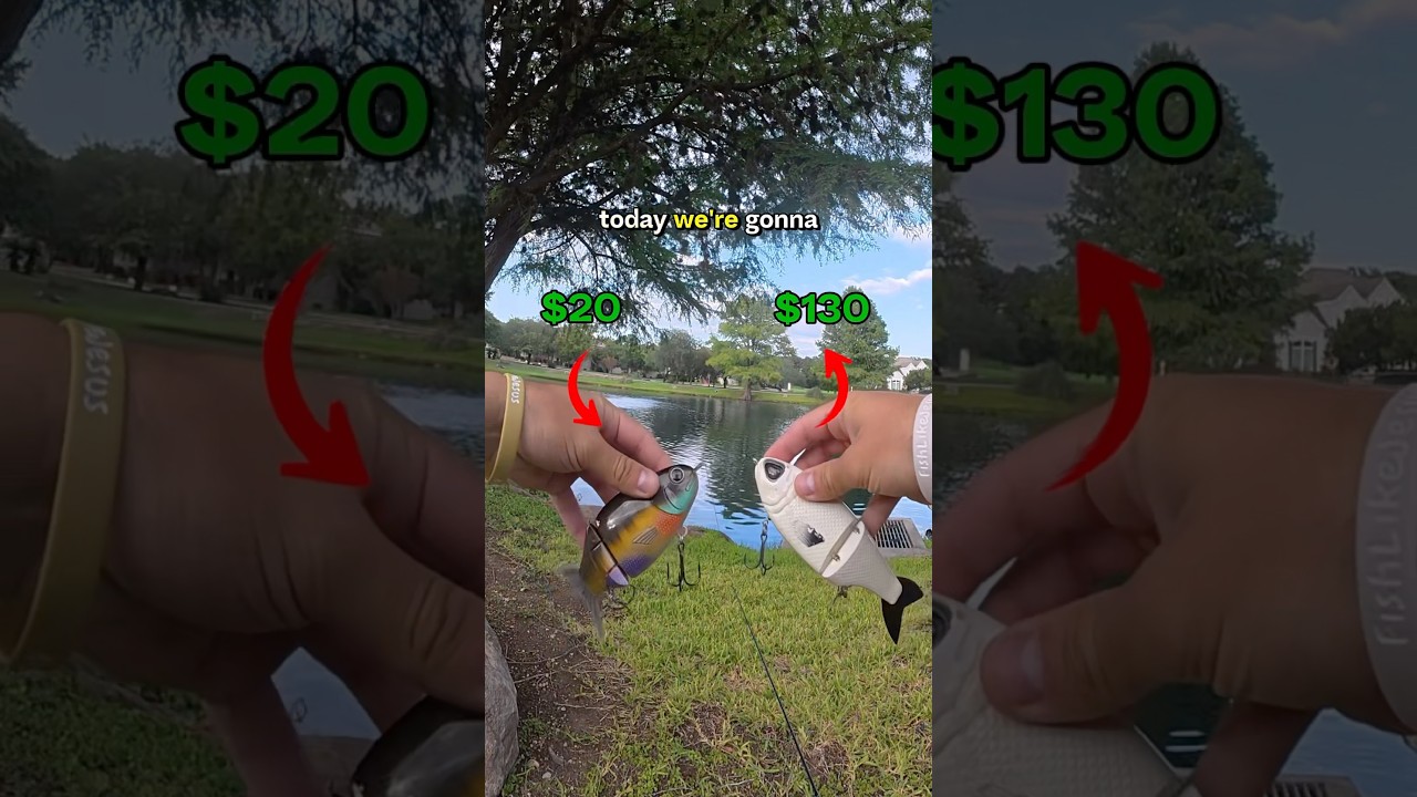 $20 vs $130 glide bait💰