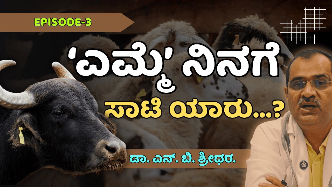 ಎಮ್ಮೆಯಷ್ಟು ಶ್ರೇಷ್ಠ ಪ್ರಾಣಿ ಇನ್ನೊಂದಿಲ್ಲ, ನಮ್ಮ ನಡುವಿರುವ ಯಾವುದೇ ಪ್ರಾಣಿ ಎಮ್ಮೆಯಷ್ಟು ಸ್ವದೇಶಿಯಲ್ಲ.