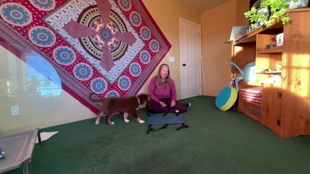 moving foot target step 1&2