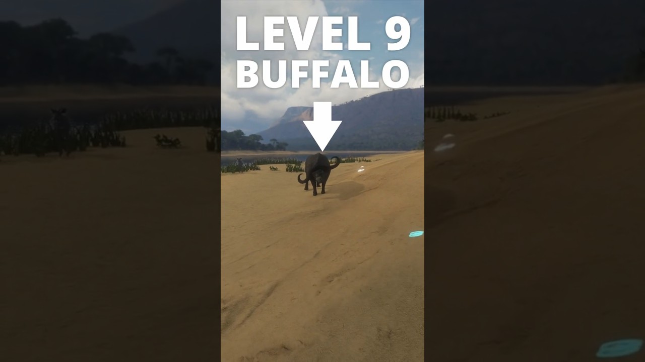 Hunting a MAX LEVEL buffalo is TOO EASY 🏹🐃 | theHunter: Call of the Wild