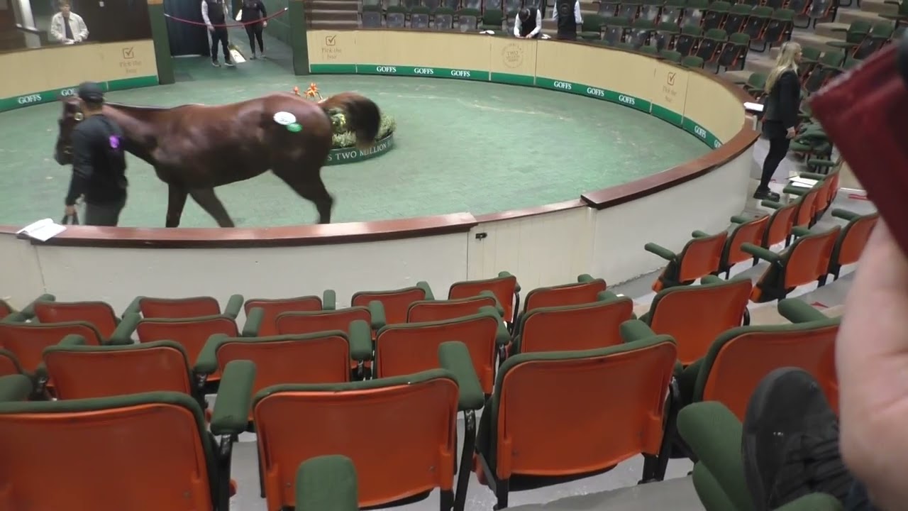 GOFFS Orby Sales Book 2, 2025-10-01 Wednesday Day One, video 1