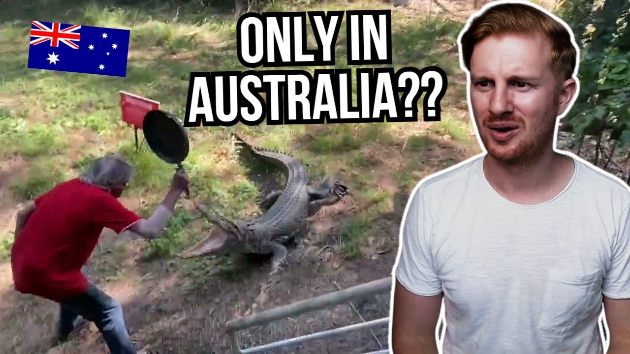 ONLY IN AUSTRALIA TIKTOK (British Reaction)