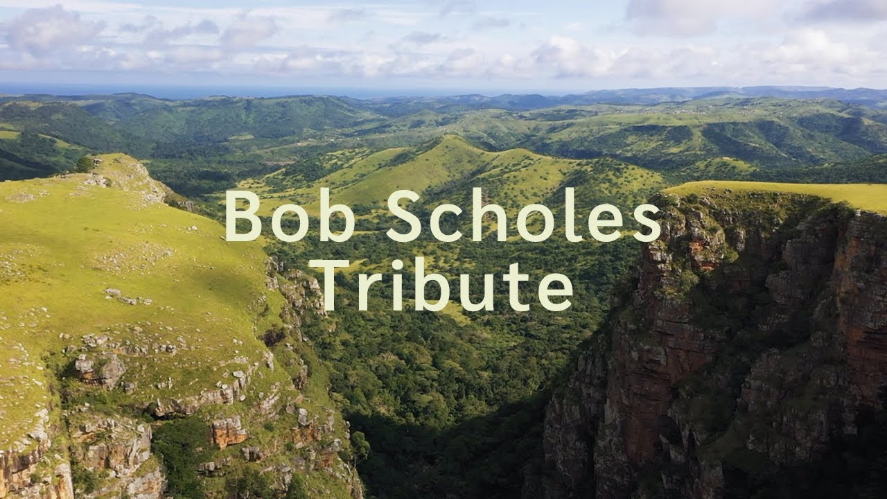 Bob Scholes Tribute | Systems Ecology