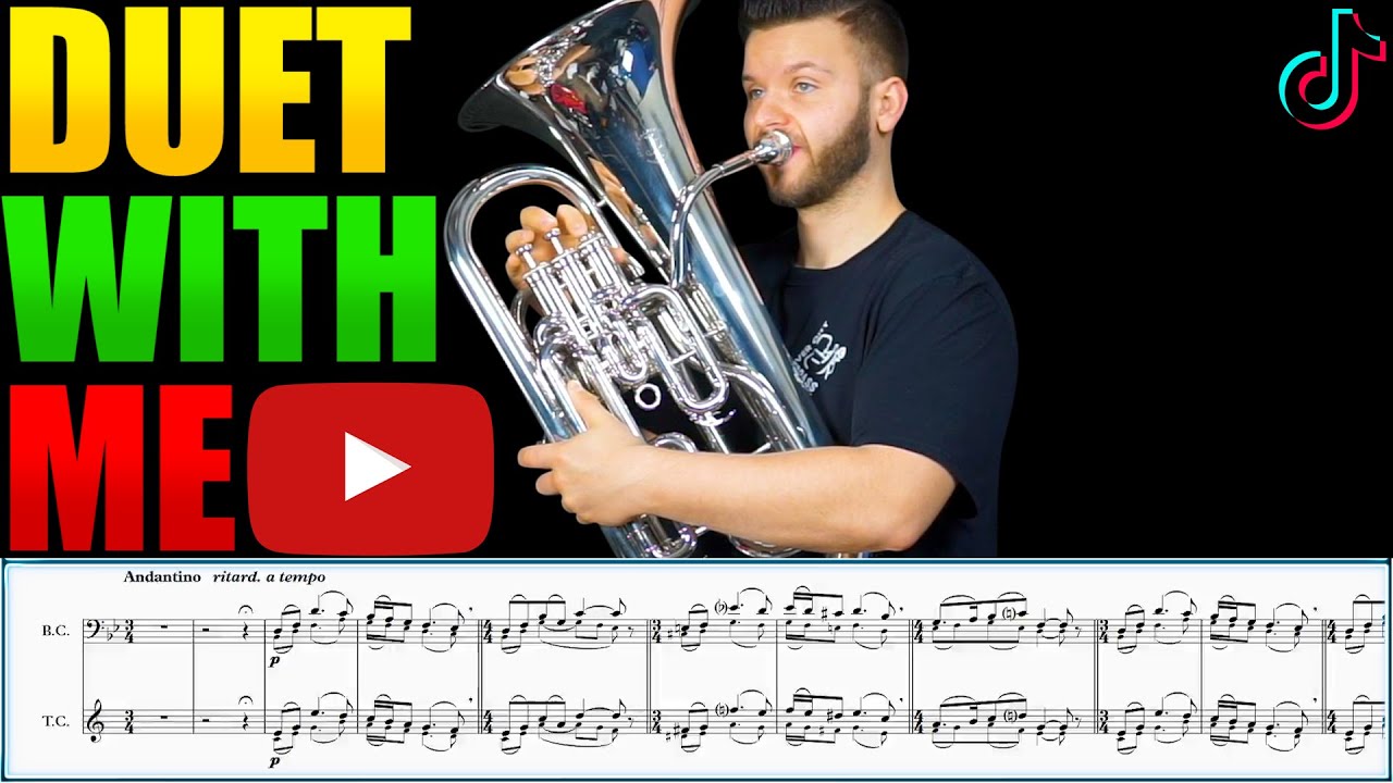 DUET WITH ME! Šimkus 