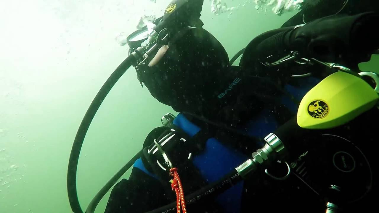 Sum w j.Hańcza spotkanie nr2 / Diving with Catfish Hańcza second meeting