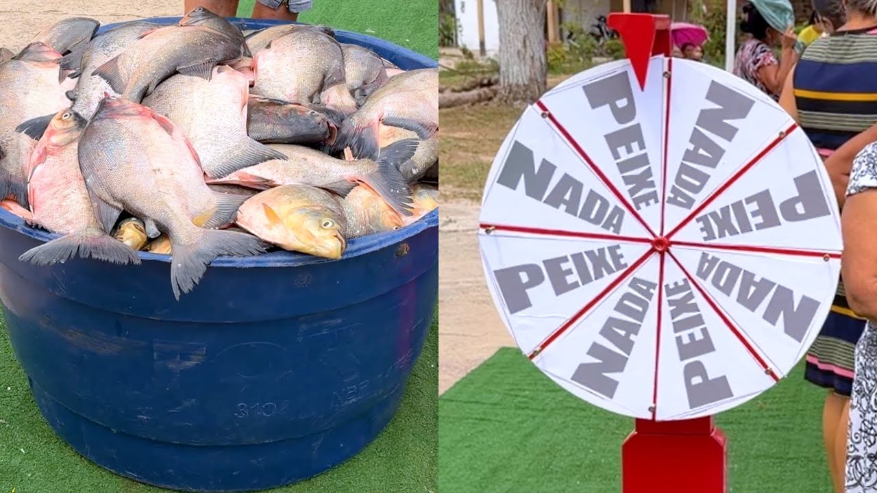 desafio da caixa de agua cheia de peixe com a roleta!