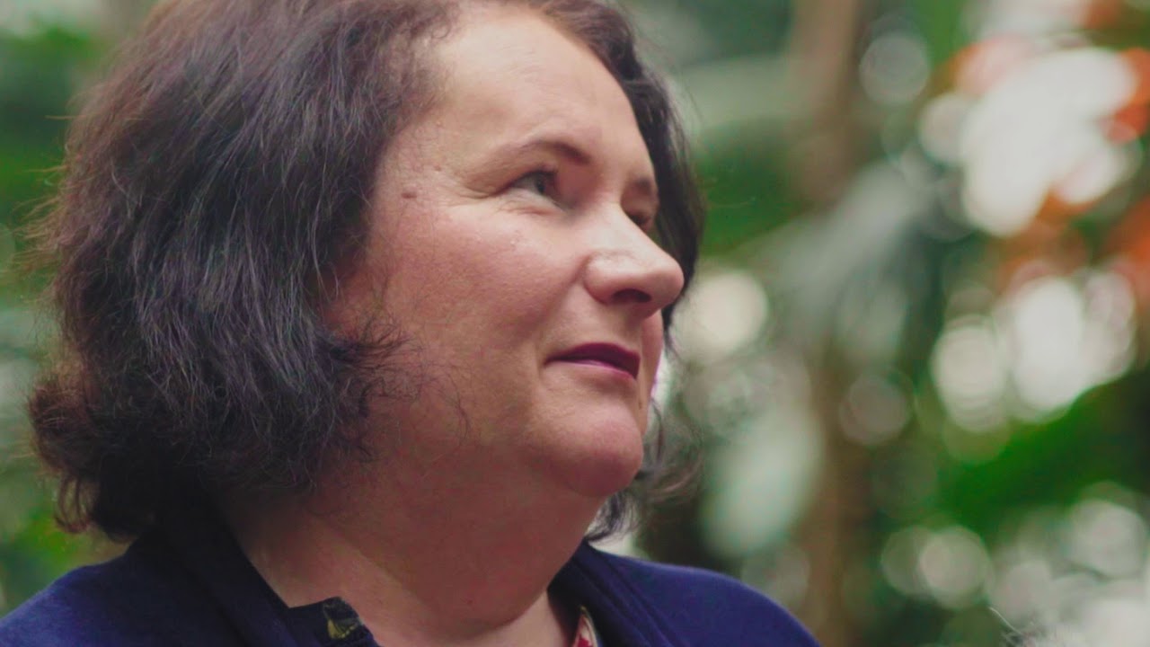 Życie po życiu - Rozmawia Beata Kampa, Michał Książek