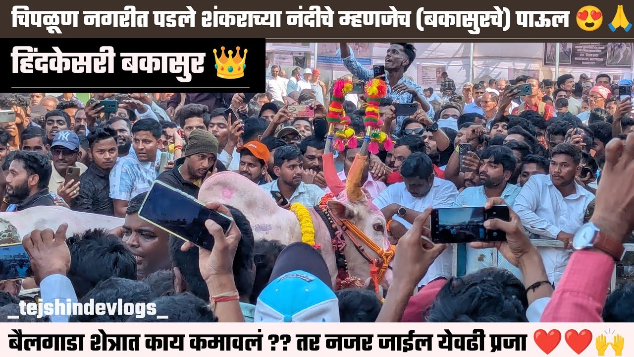 | चिपळूण नगरीत पडले शंकराच्या नंदीचे म्हणजेच (बकासुरचे) पाऊल | Bakasur | बैलगाडा मधली celebrity |