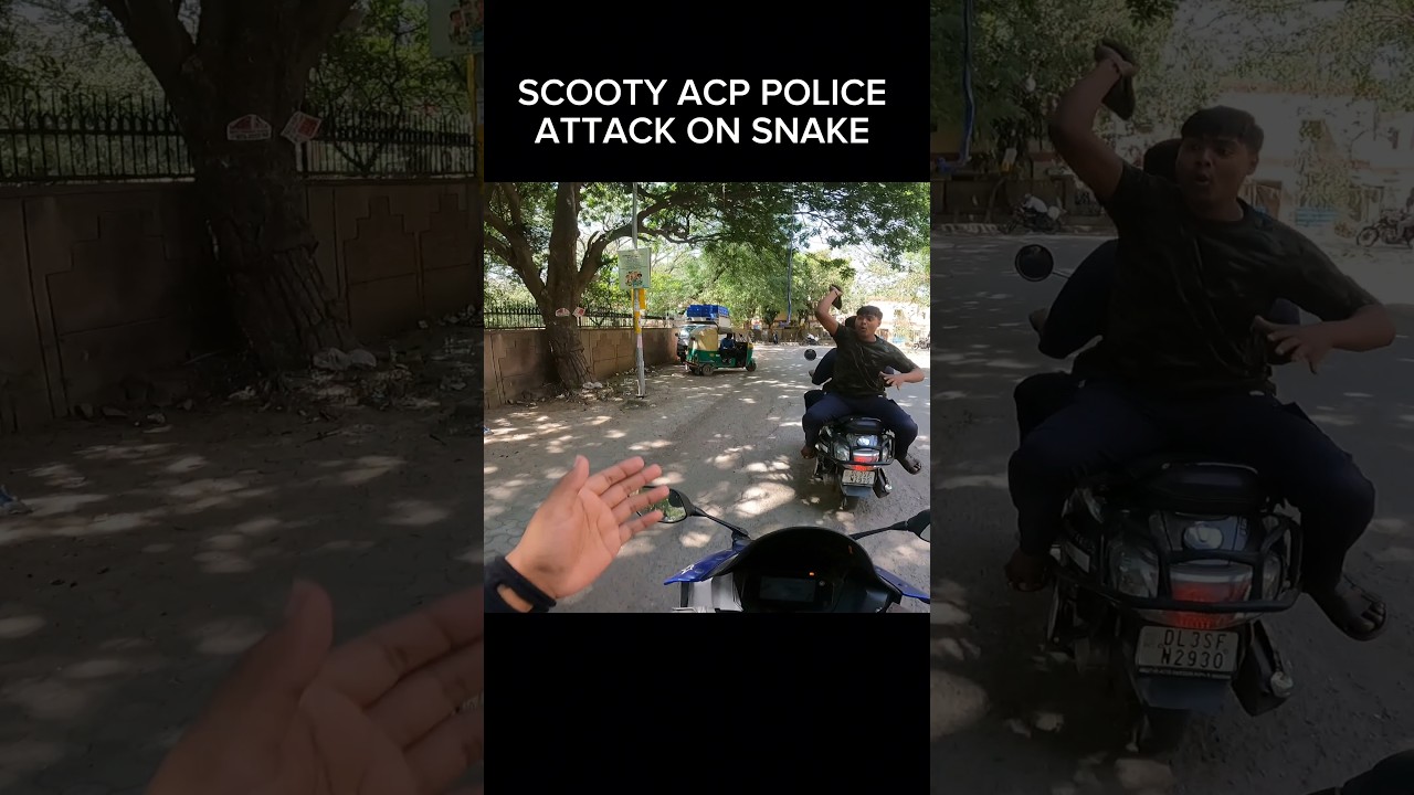 Scooty Acp Police Attack On Snake #shortvideo #trending #shortsviral